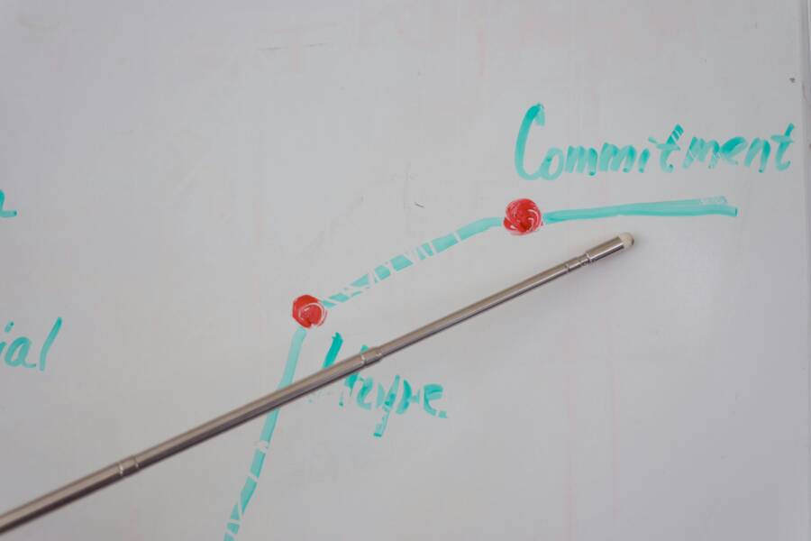 How to Make Wealth Visualizations Emotionally Vivid