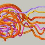 Visualization Activates Same Brain Pathways as Real Experience