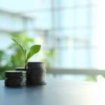 Define Your Financial Why to Sustain Long-Term Wealth
