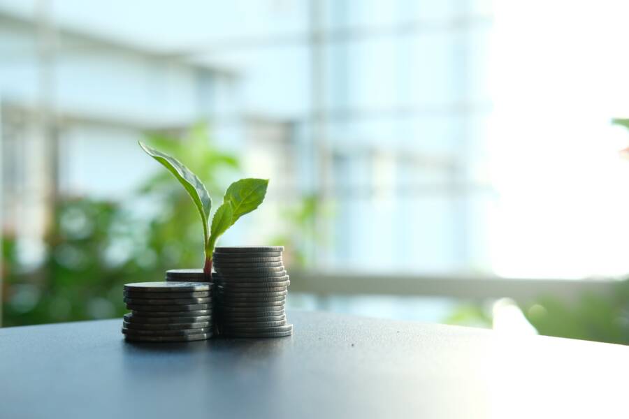 Define Your Financial Why to Sustain Long-Term Wealth