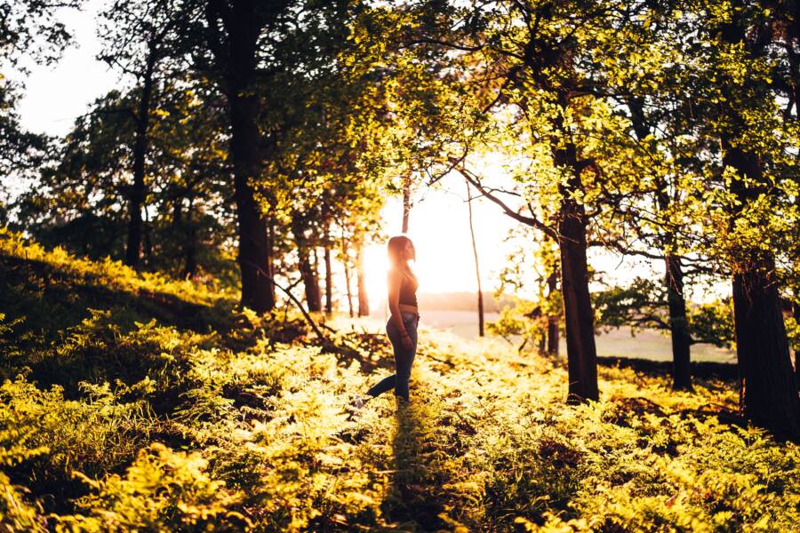 How Nature Resets Your Wealth Mindset for Better Financial Focus