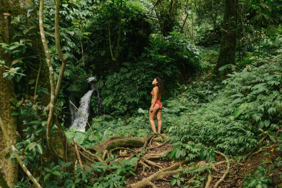 How Nature Sounds Reset Your Nervous System for Financial Clarity