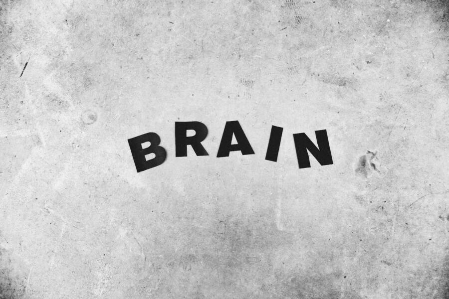 How Repeating Positive Inputs Rewires Your Brain for Wealth How Repeating Positive Inputs Rewires Your Brain for Wealth