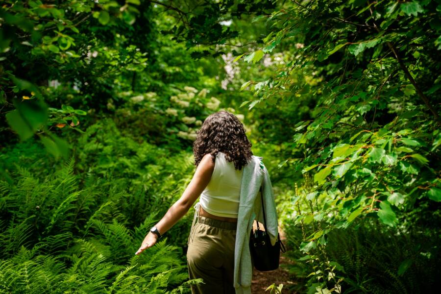 How Spending Time in Nature Improves Your Creative Thinking and Income How Spending Time in Nature Improves Your Creative Thinking and Income