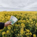 How to Shift Your Mindset for Financial Growth