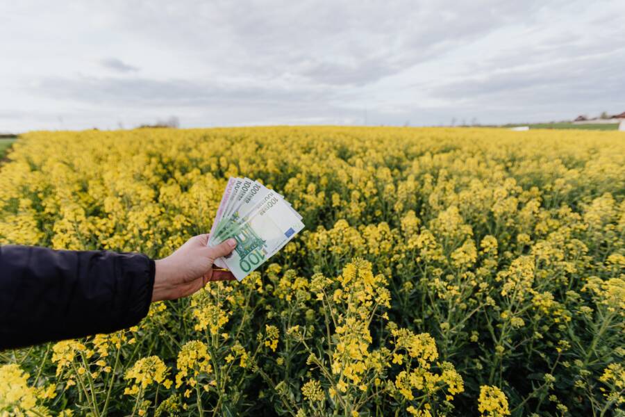 How to Shift Your Mindset for Financial Growth