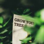 How Your Environment Blocks Your Financial Growth