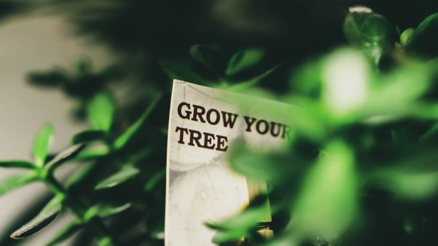 How Your Environment Blocks Your Financial Growth How Your Environment Blocks Your Financial Growth