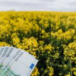Understanding Financial Flow: How to Align Your Money With Your Values