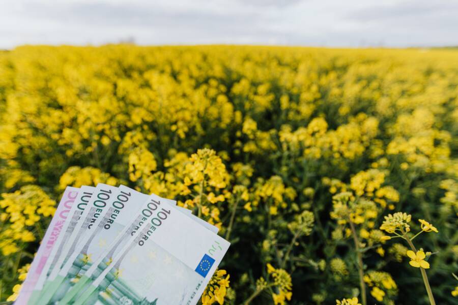 Understanding Financial Flow: How to Align Your Money With Your Values