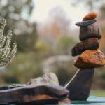 Build Internal Stability to Grow Your Personal Wealth