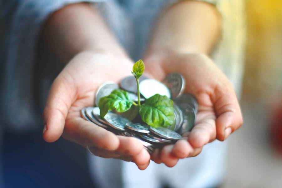 How a Growth Mindset Accelerates Financial Progress