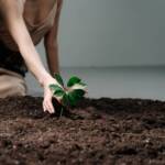 How Staying Grounded Prevents Financial Loss Under Pressure