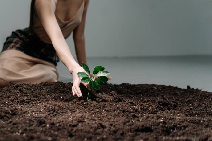 How Staying Grounded Prevents Financial Loss Under Pressure How Staying Grounded Prevents Financial Loss Under Pressure