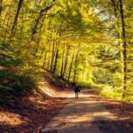 How to Build a Financial Path That Reflects Who You Are