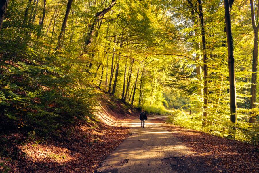 How to Build a Financial Path That Reflects Who You Are