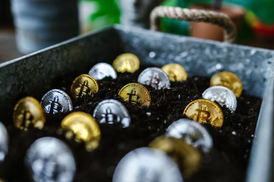 How to Build Wealth by Letting Growth Happen Naturally How to Build Wealth by Letting Growth Happen Naturally