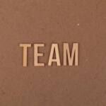 How Your Leadership Demeanor Shapes Team Performance and Revenue